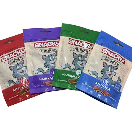 Snacky Crunch Kedi Ödül Maması - 4'lü Karma Paket