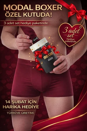 3'lü Bordo Modal Boxer