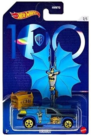 Hot Wheels WB 100.Yıl 5'li Tüm Set - HNW73