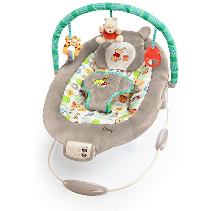 Bright Starts Sallanan Bebek Titreşimli Ana Kucağı