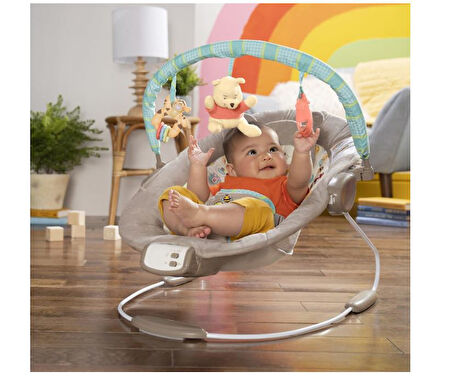 Bright Starts Sallanan Bebek Titreşimli Ana Kucağı