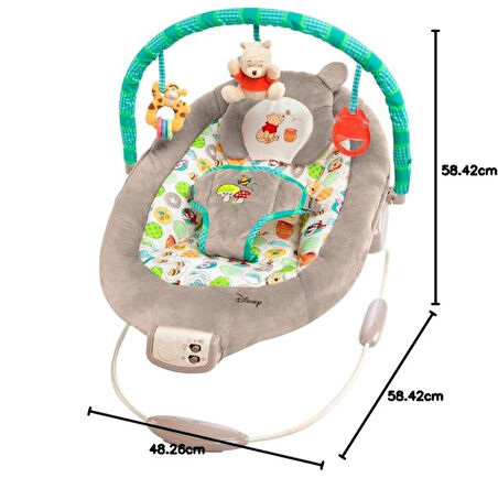 Bright Starts Sallanan Bebek Titreşimli Ana Kucağı