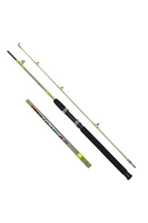 1433 Master Fisher 2 Parça 12 Lbs 240 Cm Bot Kamışı