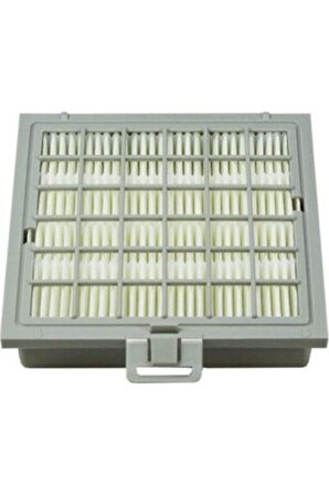 Ergomax Ergomaxx Bsg 82515 Bsg 80000 89999 Hepa Filtre
