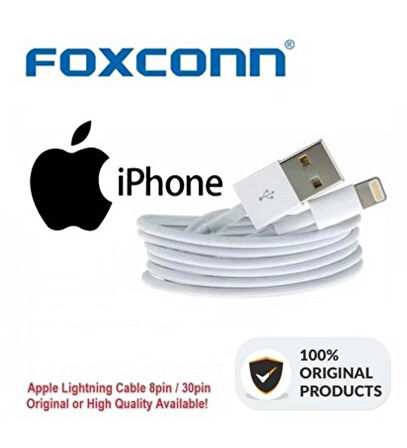 Foxconn Apple Lightning