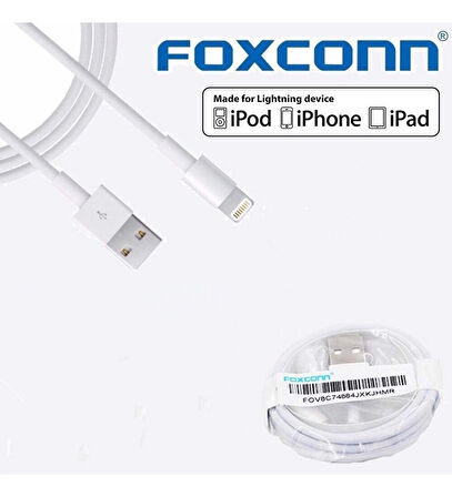 Foxconn Apple Lightning