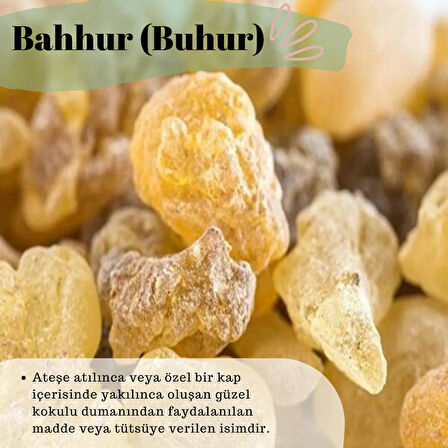 Hatay Yöresel Günlük Sakızı Akgünlük Bahur (BUHUR) Tütsü - 100 Gr.
