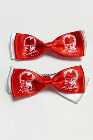 23 Nisan 19 Mayıs Atatürk İmzalı Fiyong Pens Toka 2 Adet