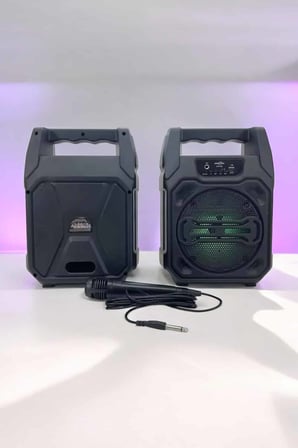 Toptanbulurum 6.5 İnç Taşınabilir Bluetooth Hoparlör Altın Renk Kablosuz Mikrofonlu 15W
