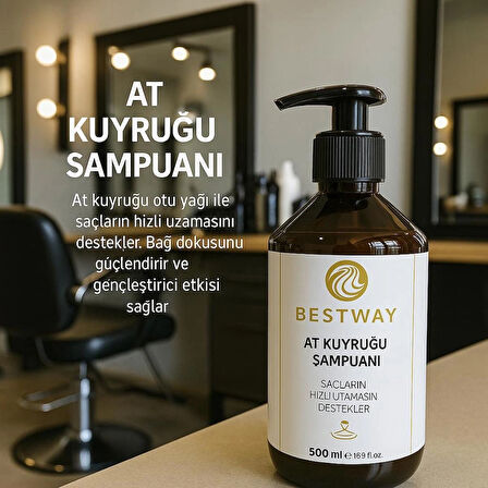 AT KUYRUĞU ŞAMPUANI