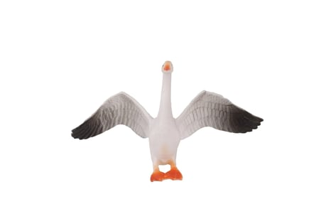 KZL-HY- PVC DE KUŞLAR
