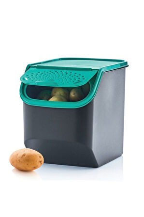 Maksi 5.5 Litre Patates Soğan Sepeti