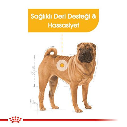 Royal Canin Medium Dermacomfort Kuru Köpek Maması 12kg