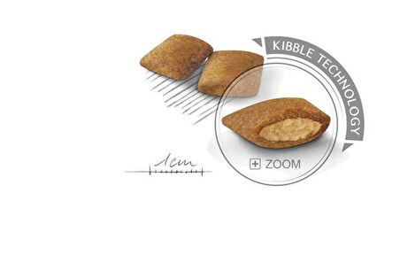 Royal Canin Mini Exigent Seçici Köpekler için Kuru Köpek Maması 3kg