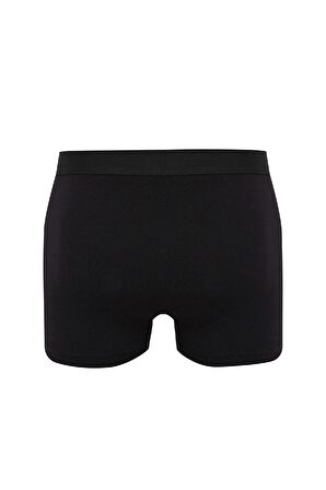 DeFacto Regular Fit 3'lü Boxer N4277AZ23AUBK81