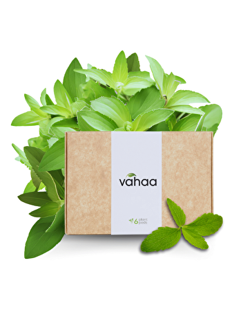 Vahaa Stevia Kiti