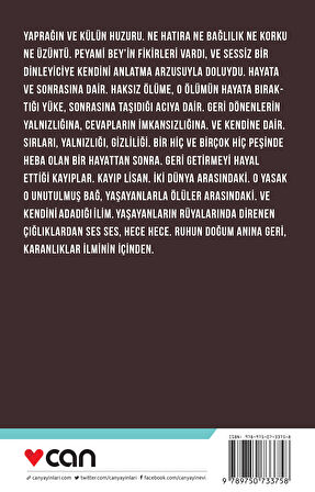 Yalnız Kaldınız, Peyami Bey!