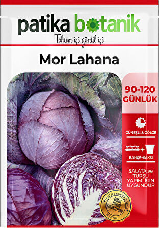 500 Adet Mor (Kırmızı) Lahana Tohumu 