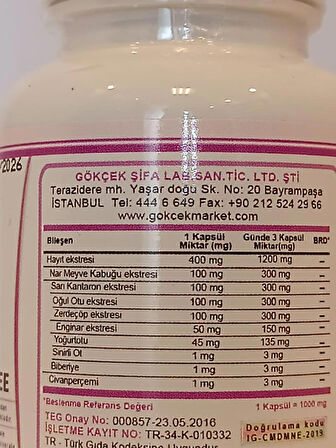 Hayıt Kapsül (CHASTE TREE CAPSULE)