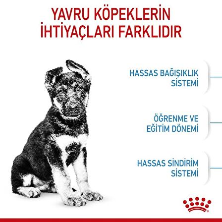 Royal Canin Büyük Irklar için Yavru Kuru Köpek Maması 15kg