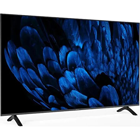 Sunny SN65FMN252 Frameless 4K Ultra HD 65" 165 Ekran Uydu Alıcılı webOS Smart LED TV