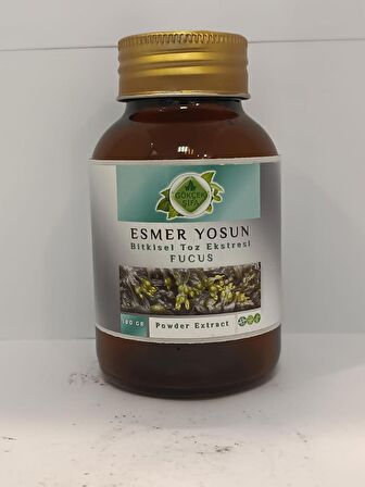 Fucus Toz Ekstresi 100 Gr. Cam Kavanoz