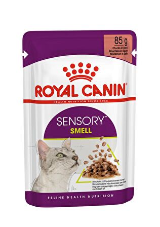 Royal Canin Sensory Koku Duyusu için Sos İçerisinde Yaş Kedi Maması 85g