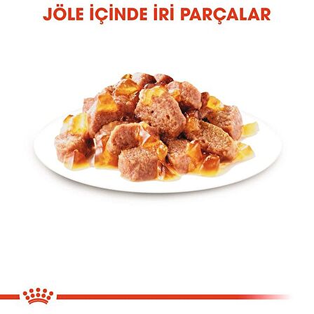 Royal Canin Hair&Skin Tüy ve Deri Sağlığı için Jöle İçerisinde Yaş Kedi Maması 85g