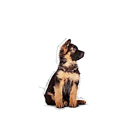 Royal Canin Büyük Irklar için Yavru Yaş Köpek Maması 140g