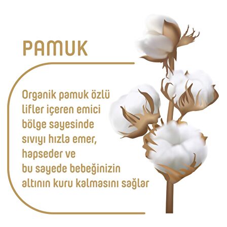 Pure Baby Organik Pamuklu Cırtlı Bez Tekli Paket 3 Numara Midi 56 Adet