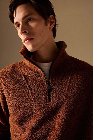 DeFacto Regular Fit Dik Yaka Fermuarlı Pelüş Sweatshirt B6493AX24SPBN319