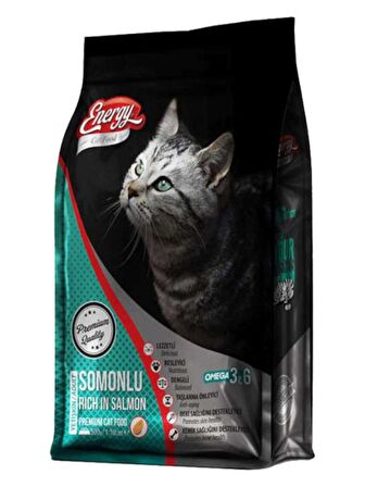 Energy Somonlu Yetişkin Kedi Maması 500 gr X 16 ADET