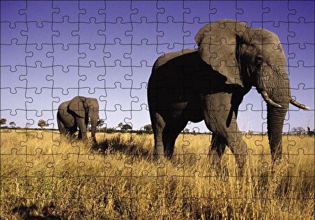 Cakapuzzle  Afrikadaki İkili Filler Puzzle Yapboz MDF Ahşap