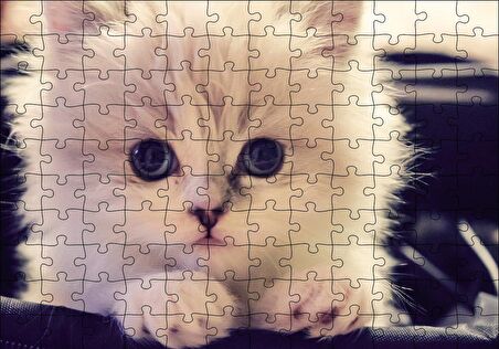Cakapuzzle  Beyaz Kedi Puzzle Yapboz MDF Ahşap