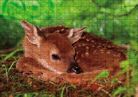Cakapuzzle  Ceylan Yavru Puzzle Yapboz MDF Ahşap