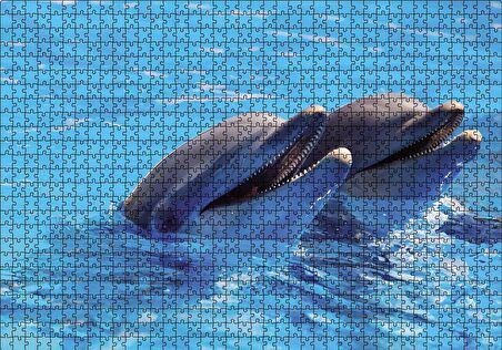 Cakapuzzle  Çift Yunuslar Puzzle Yapboz MDF Ahşap