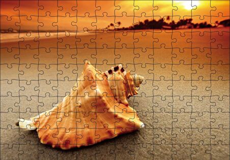 Cakapuzzle  Deniz Kabuğu Puzzle Yapboz MDF Ahşap