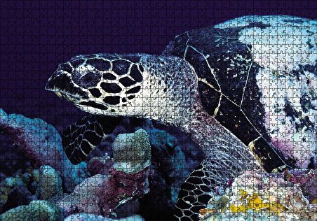 Cakapuzzle  Deniz Kaplumbağa Puzzle Yapboz MDF Ahşap