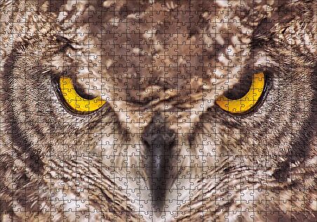 Cakapuzzle  Kartal Baykuş Puzzle Yapboz MDF Ahşap