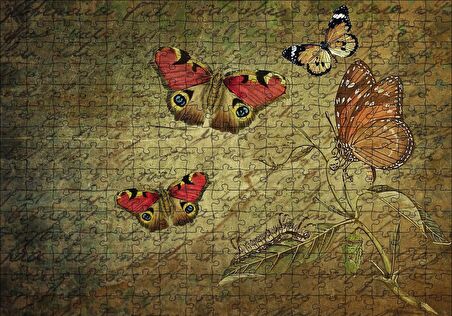 Cakapuzzle  Mektup Zemininde Kelebekler Puzzle Yapboz MDF Ahşap