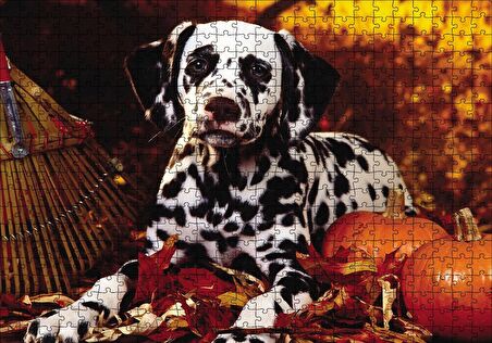 Cakapuzzle  Köpek Cadılar Bayramı Puzzle Yapboz MDF Ahşap