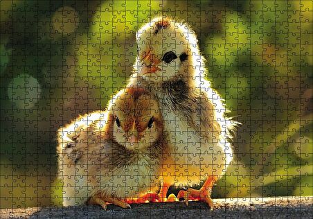 Cakapuzzle  Sevimli Civcivler Puzzle Yapboz MDF Ahşap