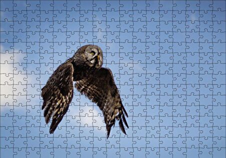Cakapuzzle  Uçan Baykuş Puzzle Yapboz MDF Ahşap