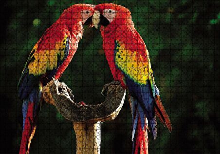 Cakapuzzle  Aşık Papaganlar Puzzle Yapboz MDF Ahşap