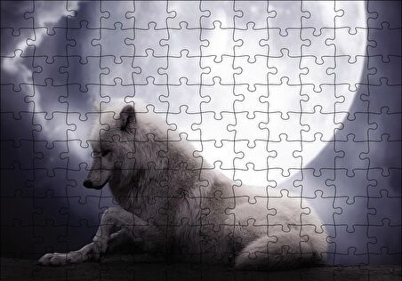 Cakapuzzle  Beyaz Kurt Ay Görseli Puzzle Yapboz MDF Ahşap