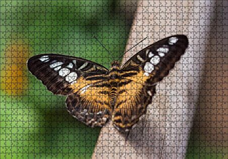 Cakapuzzle  Ağaç Üzerinde Sarı Siyah Kelebek Puzzle Yapboz MDF Ahşap