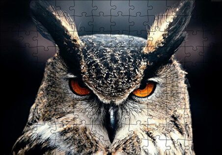 Cakapuzzle  Baykuş Kalın Kaşlar Yakın Çekim Puzzle Yapboz MDF Ahşap