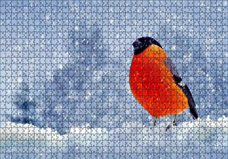 Cakapuzzle  Karlar İçinde Şakrak Kuşu Puzzle Yapboz MDF Ahşap