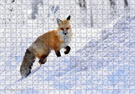 Cakapuzzle  Karlar Üzerinde Kutup Tilkisi Puzzle Yapboz MDF Ahşap