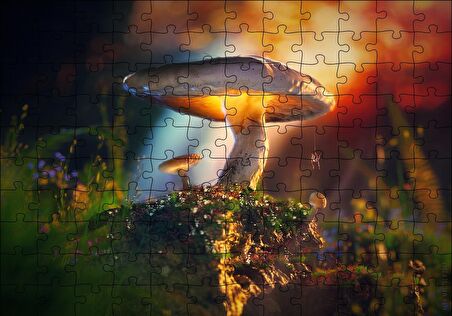 Cakapuzzle  Mantar ve Örümcek Makro Puzzle Yapboz MDF Ahşap